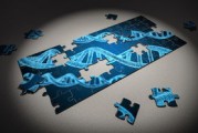 篮球专项技能动作稳定性提升研究，篮球运动技能